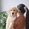 Kukkakuvioinen bandana koiralle